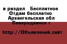  в раздел : Бесплатное » Отдам бесплатно . Архангельская обл.,Северодвинск г.